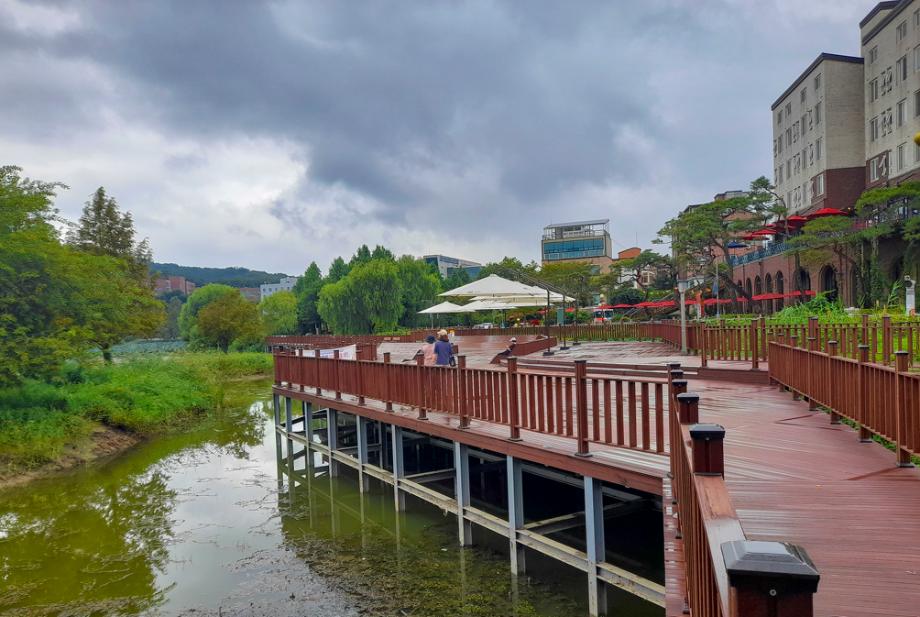 시민의 휴식과 호수의 생태가 공존하는 천호지 근린공원